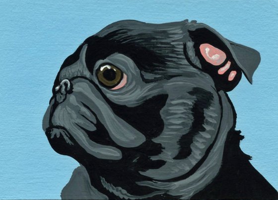 ACEO ATC Original Miniature Painting Black Pug Pet Dog Art-Carla Smale