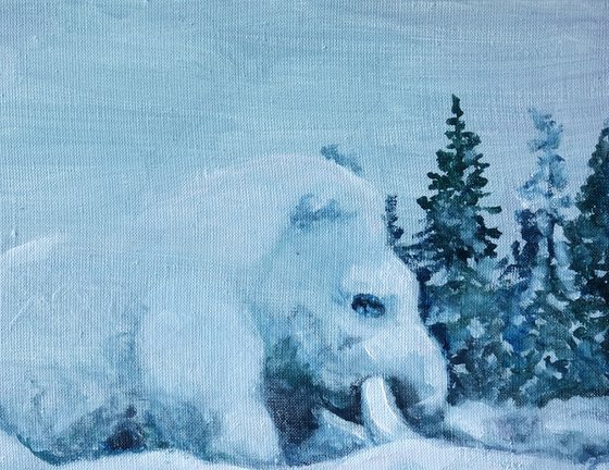 Waiting for Warmth