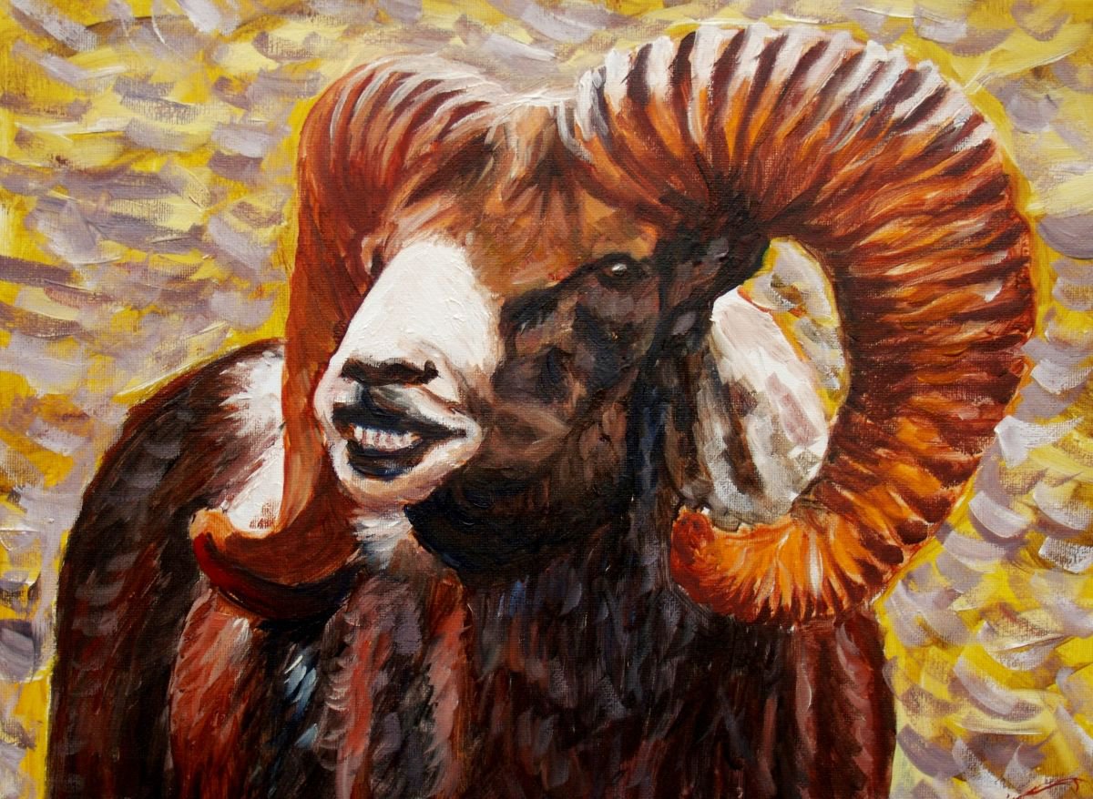 Impressionistic Animal Oil Painting By Elena Sokolova, 16 X 12, Argali, Original Artwork