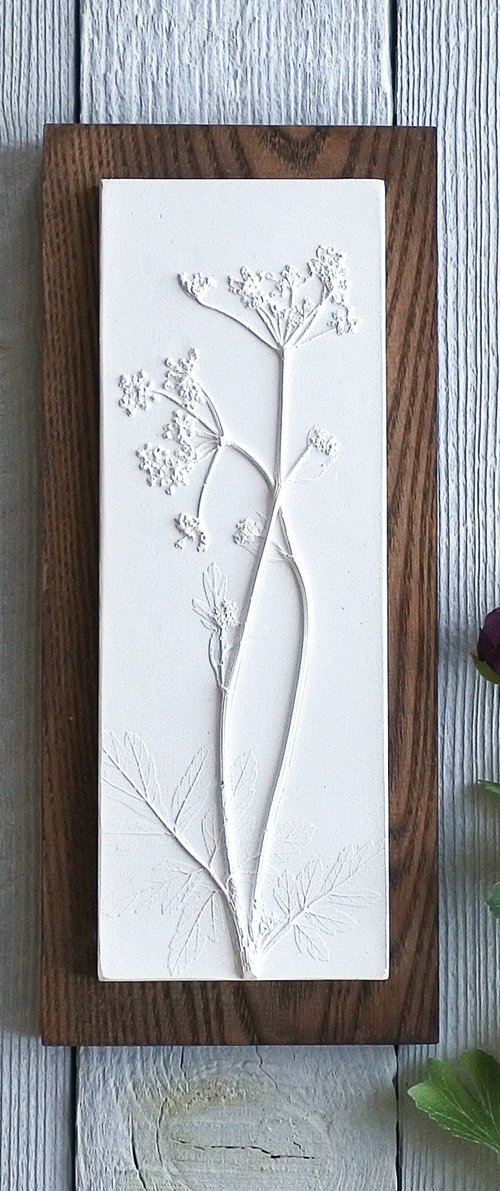 Cow Parsley No.3 on dark stained Ash by Fiona Gray