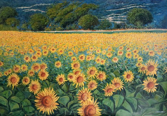 Field of sunflowers in Tuscany