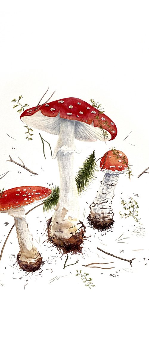 Mushrooms by Tina Shyfruk