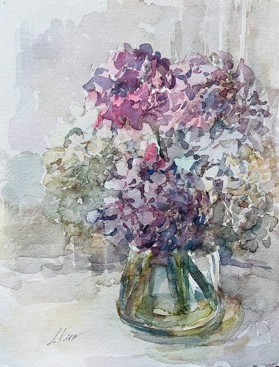 Hydrangea 11 2022