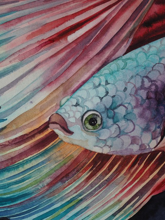Dream fish
