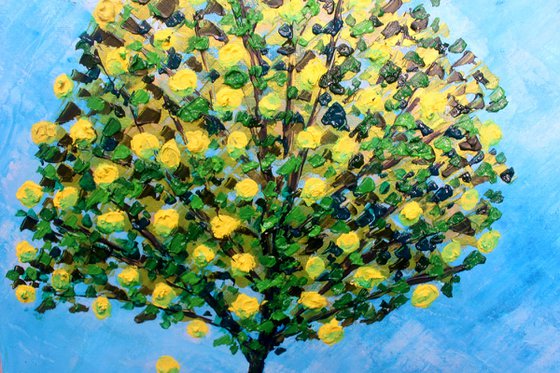 Lemon Tree III