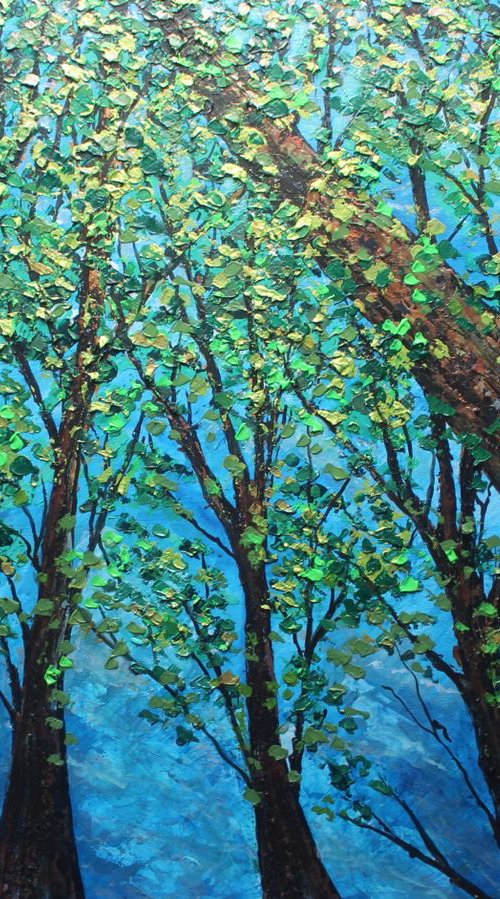 Look Up ( Large -102cm x 75 cm ) by Paul J Best