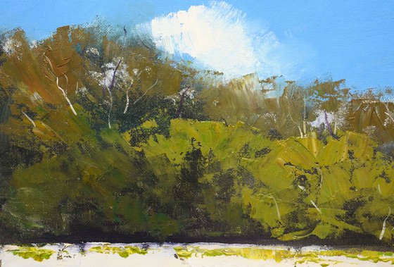 Sydney Harbour Beach Original Oil Painting