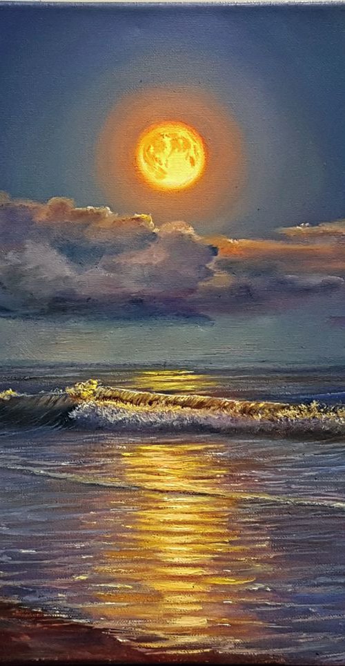 Midnight Moon by Paul Narbutt