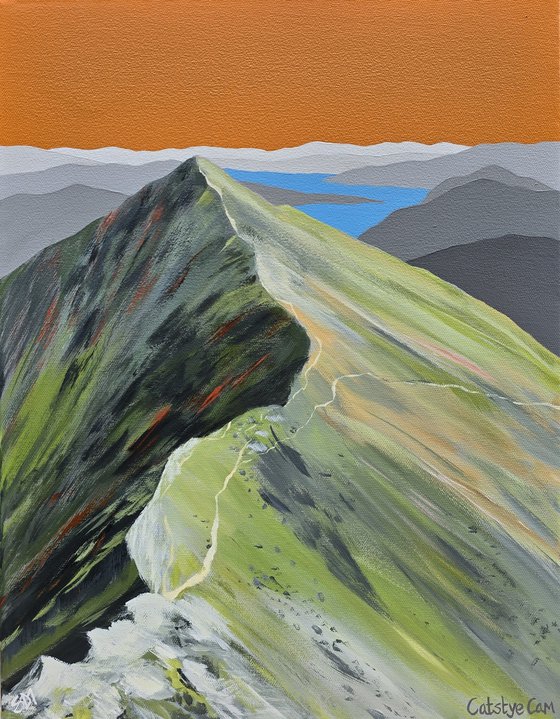 Catstye Cam