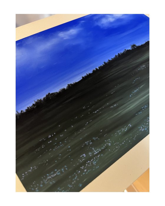 Wiese in der blauen Stunde
