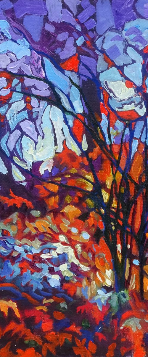 Midnight Woodland by Mary Kemp