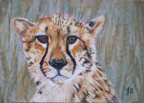 Cheetah / From the Animal Portraits series /  ORIGINAL PAINTING by Salana Art Gallery