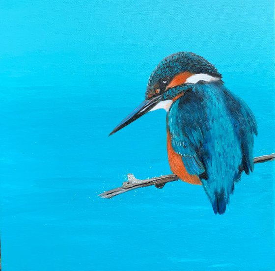 Kingfisher Blue