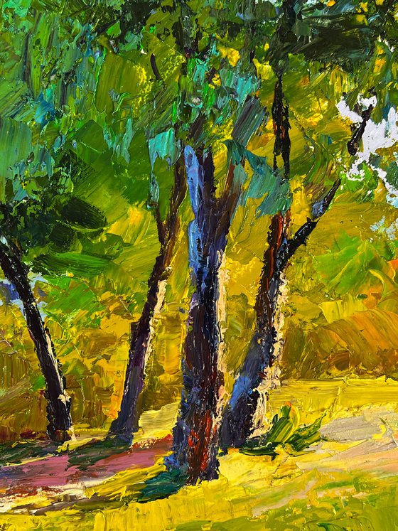 Summer Forest Glade