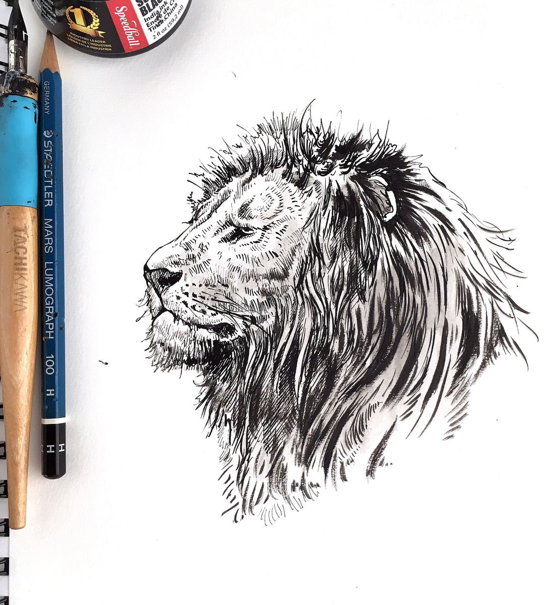 Expressive Animal Ink Drawing By Dario Moschetta, 8 X 11, Portrait 214.A, Original Artwork