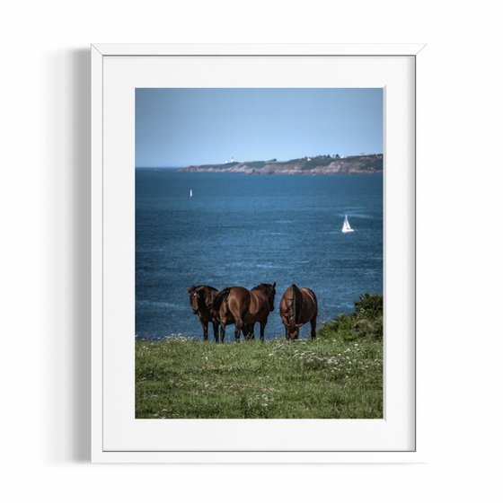 BRETON SCENARY