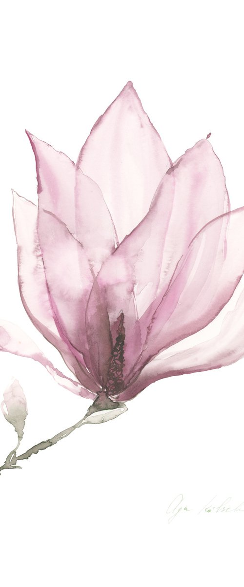 Transparent Magnolia by Olga Koelsch