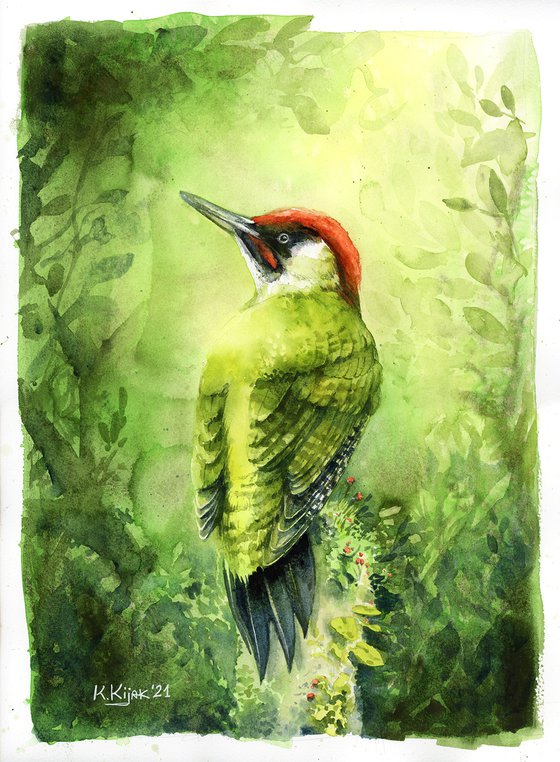 Green woodpecker, watercolor of birds and wildlife