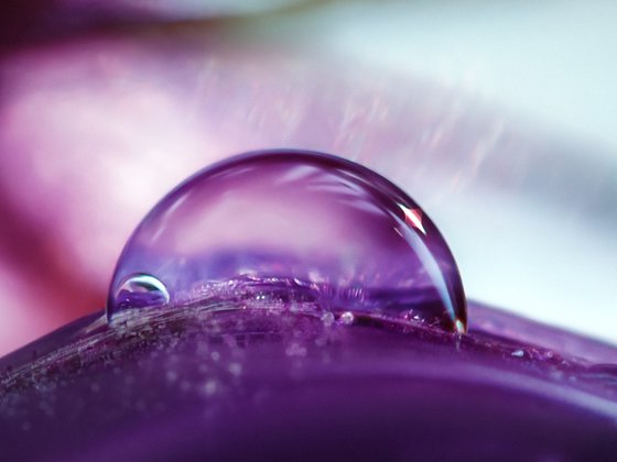 Onion Planet Dreamy Landscapes