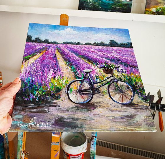 Bicycle on the lavender field