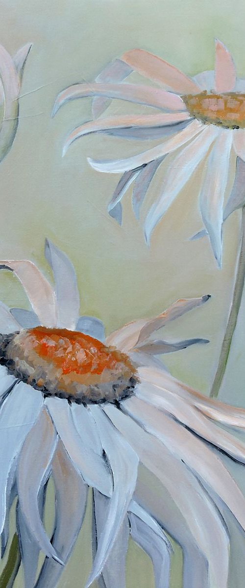 Vintage Sharm of Daisies. by Veta  Barker