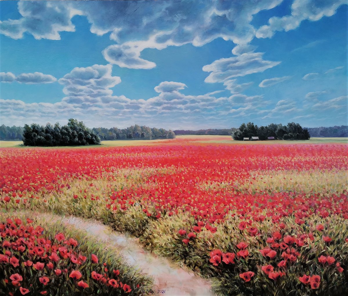 Poppy field by Valentinas Yla