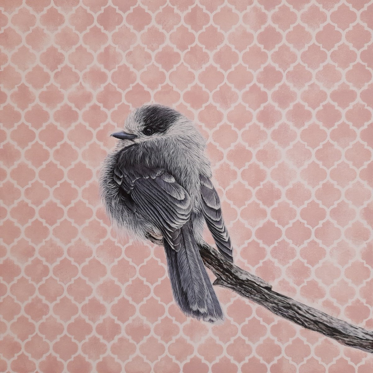 Photorealistic Animal Acrylic Painting By Claudia Daminato, 12 X 12, Lovable, Original Artwork