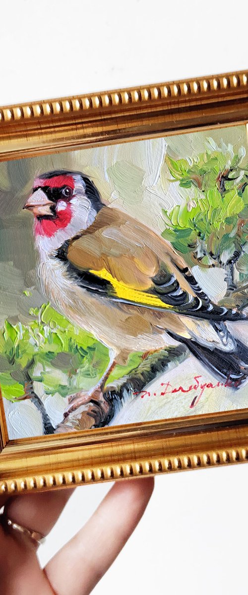 Goldfinch bird by Nataly Derevyanko