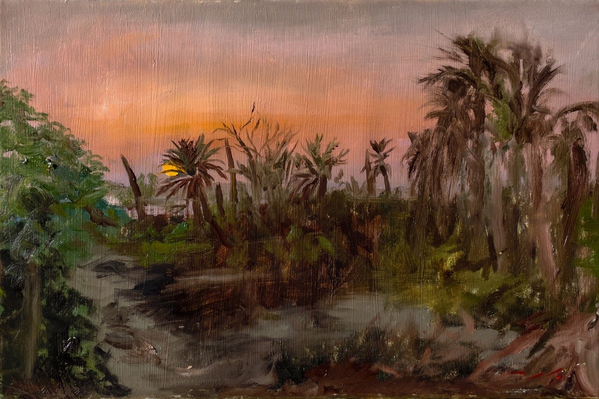 Arabian Sunset by Mazen Ghurbal