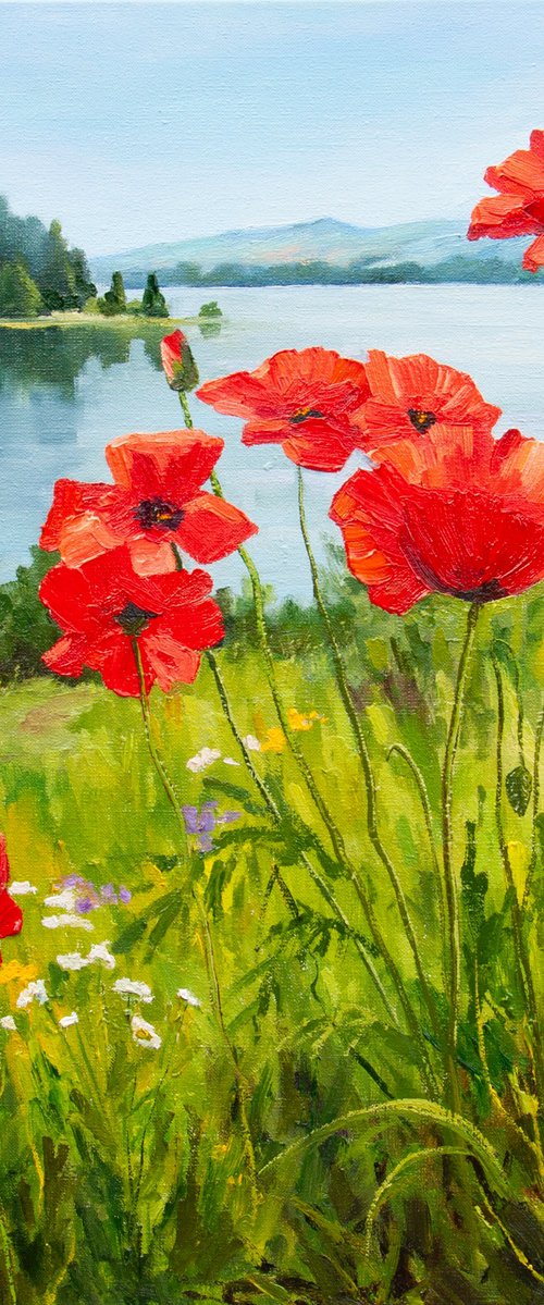 Field of poppies. by Tetiana Vysochynska
