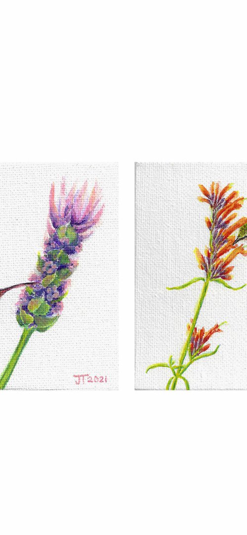 Celebrate spring#5-2 Miniature paintings by Jing Tian