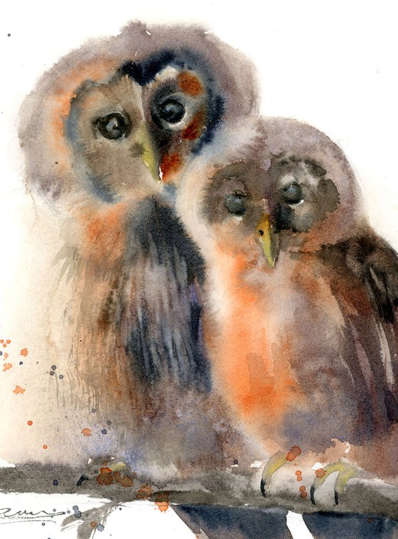 Couple of owl