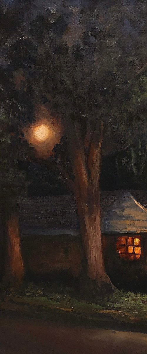 Neighbourhood3 Late Moonrise by Christopher Vidal