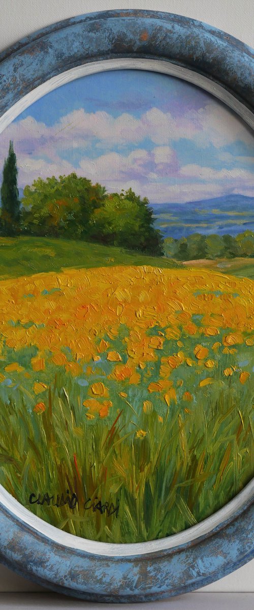 Yellow field in Tuscany by Claudio Ciardi