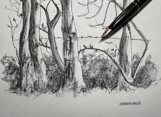 Trees in Pen and Ink - Norfolk Landscape English Countryside
