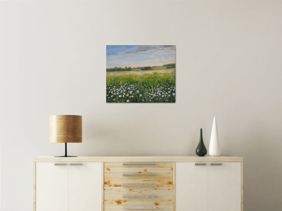 Field of daisies