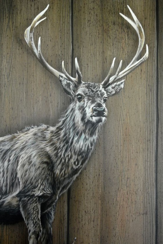 Stag 2