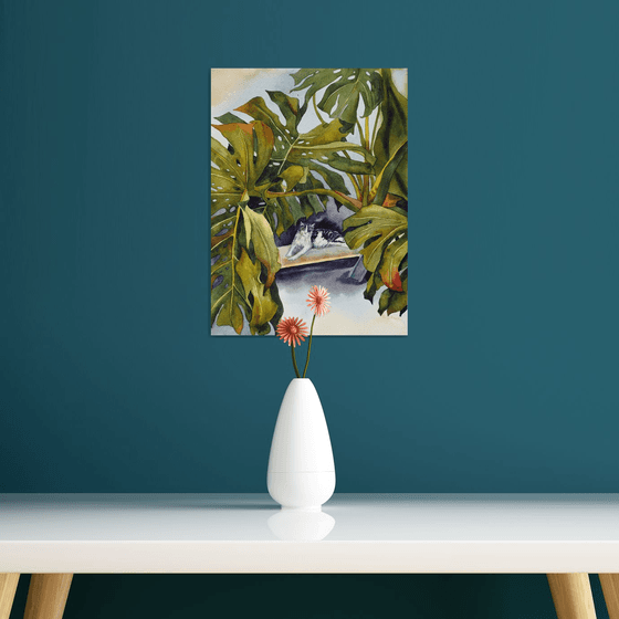 Сat and monstera leaves