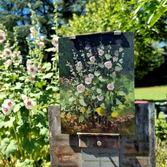 Hollyhocks