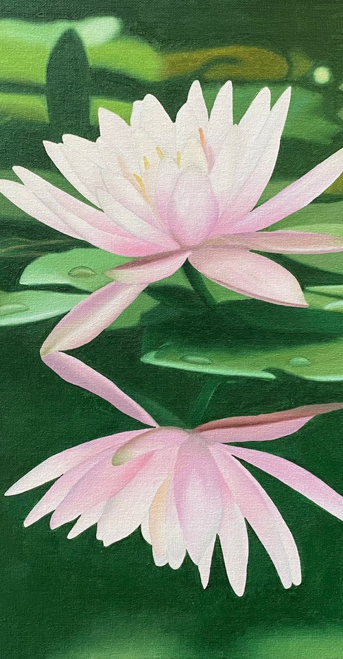 Water Lily by Jill Ann Harper