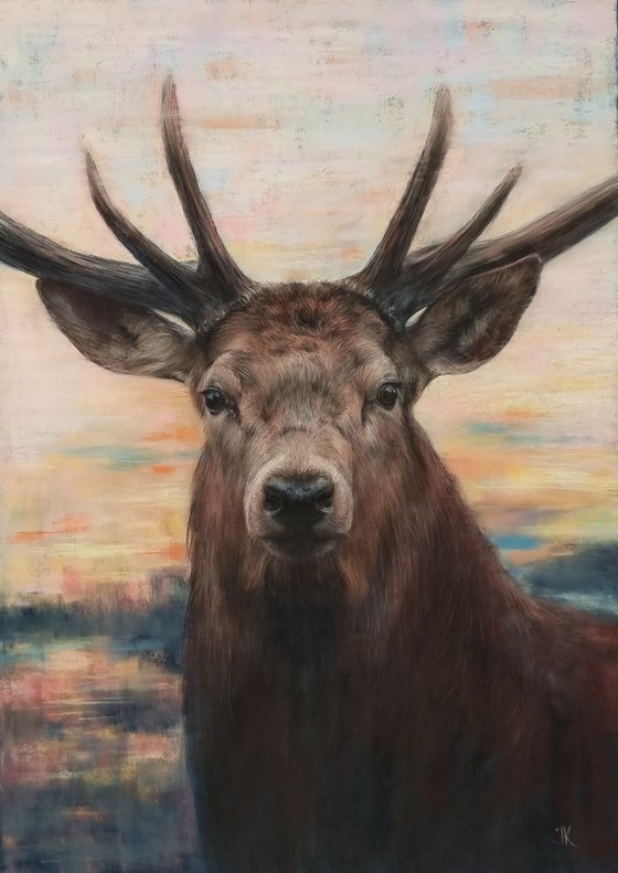 King of the Forest