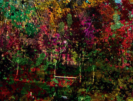 Gotas de color Central Park