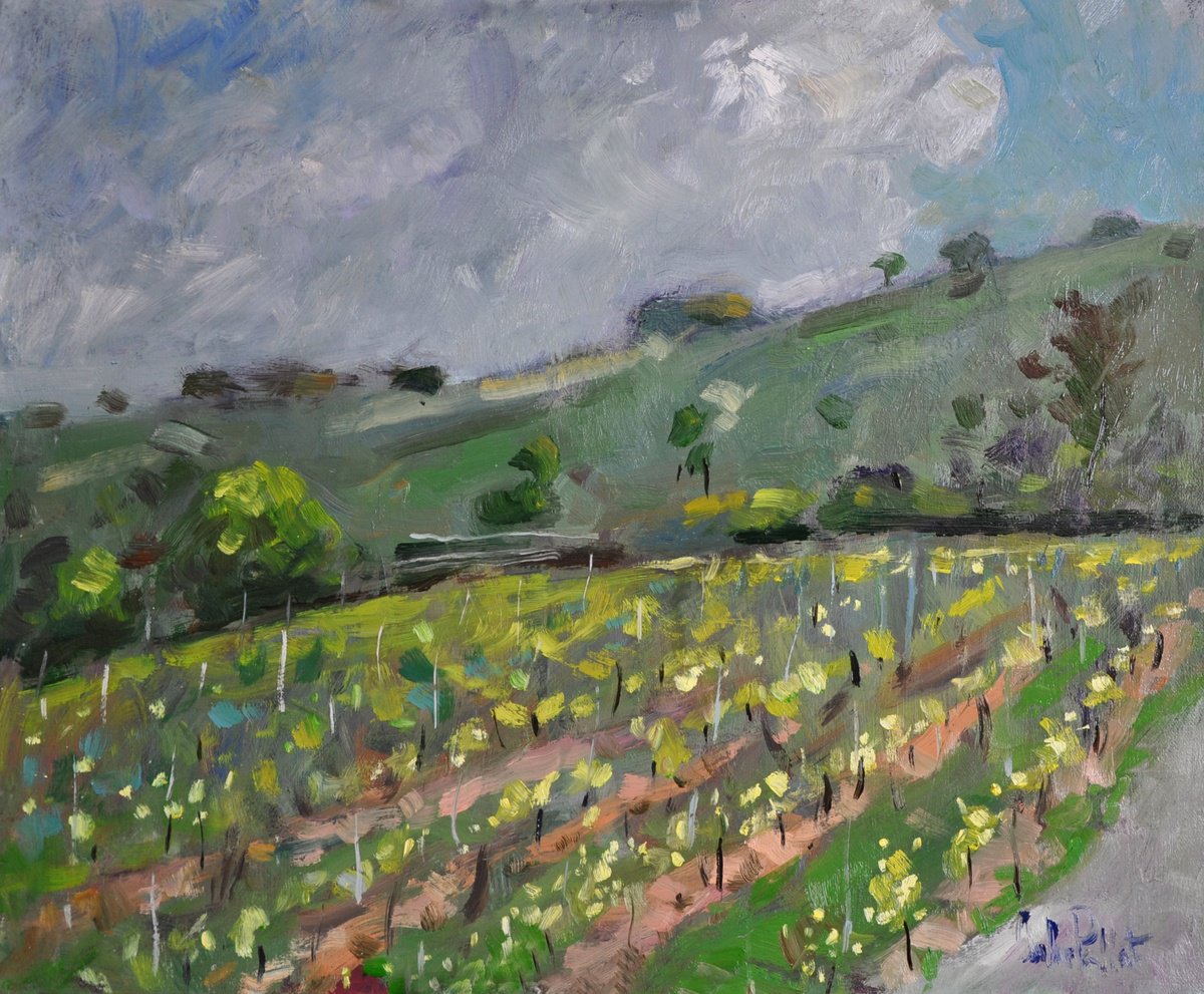 Vineyard In West Sussex. By Andre Pallat, 24 X 20, Artwork For Sale On Artfinder