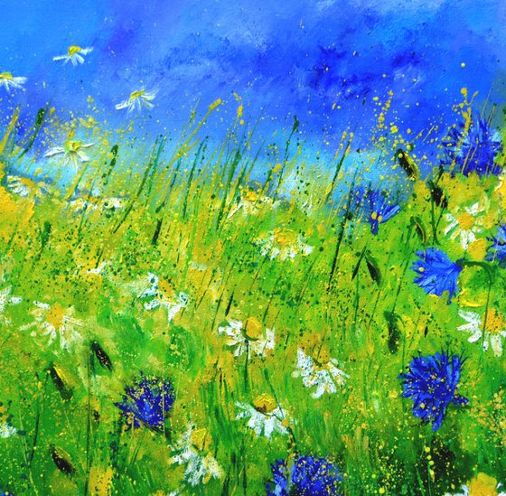 Cornflowers and daisies