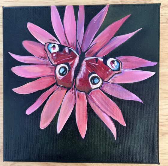 Pretty butterfly on flower