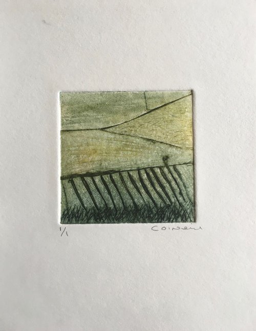 mini  Green Fields by Catherine O’Neill