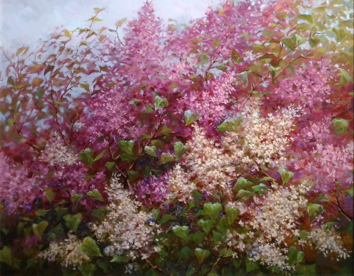 Lilac by Natalia Kakhtiurina