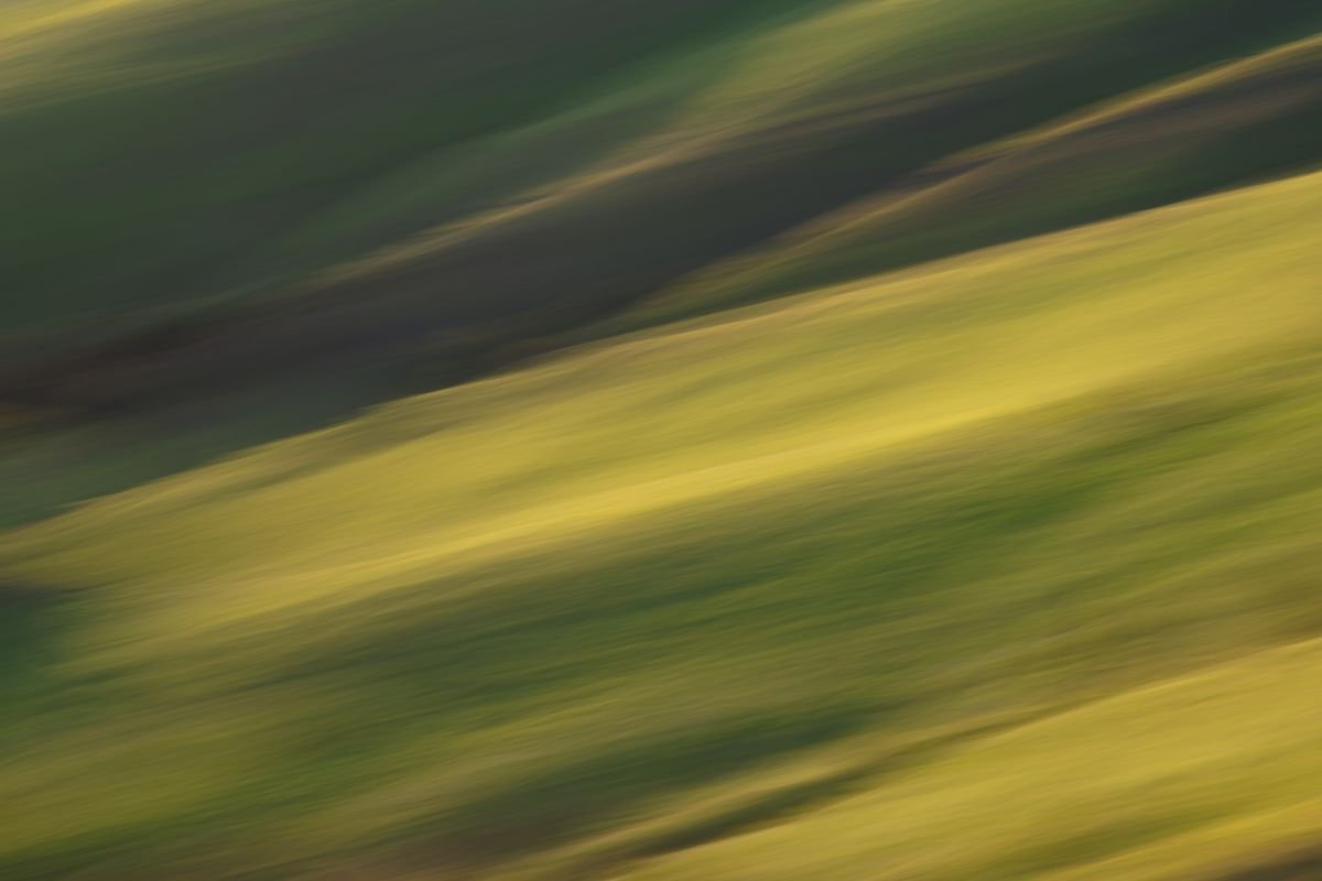Mount Diablo Impressions by Francesco Carucci