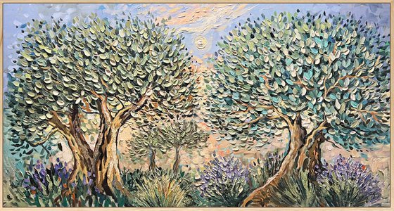 Lavender and Olive Trees