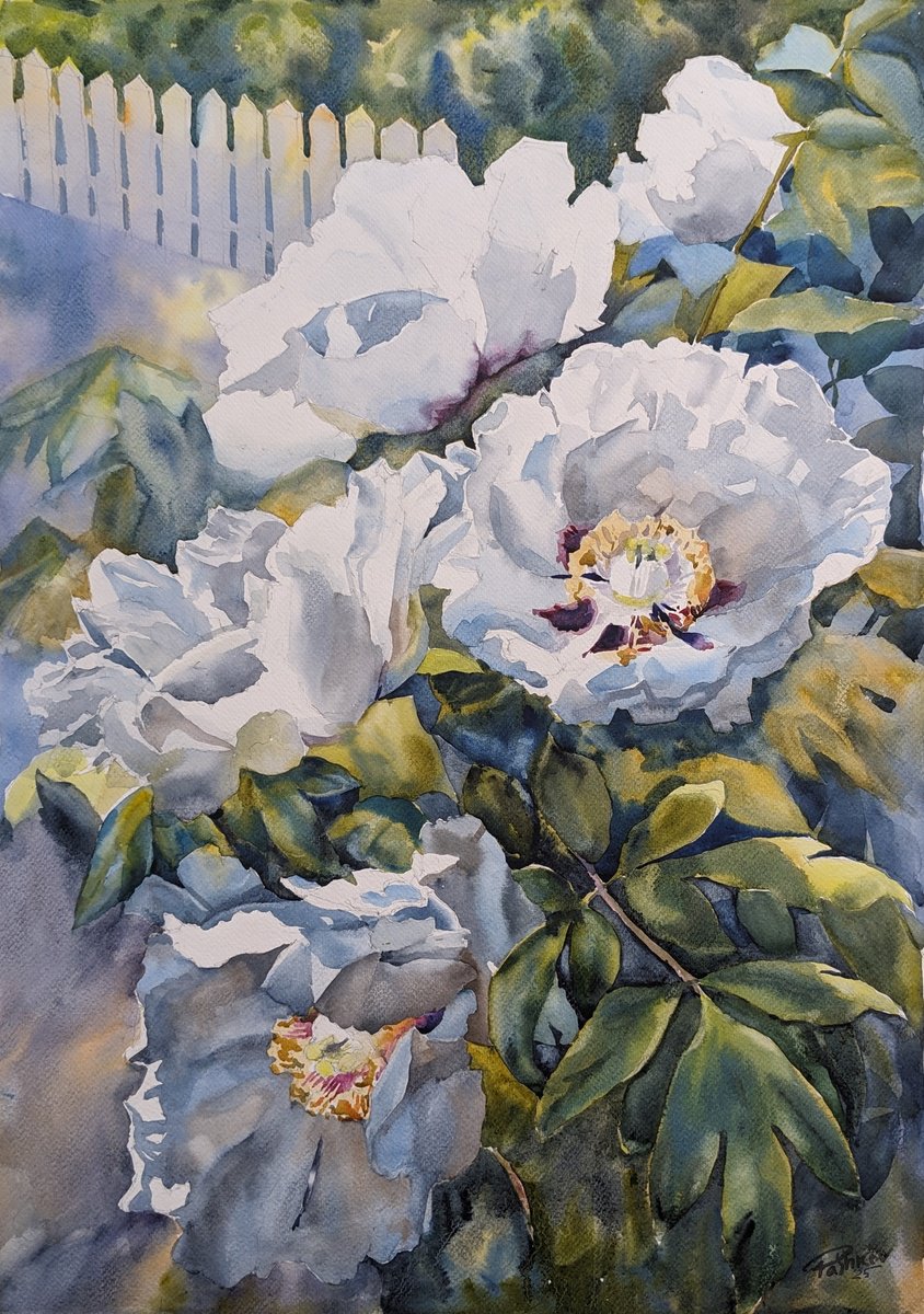 WHITE PEONIES #9 by Yurii Pashkov